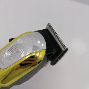 مشخصه های ظاهری