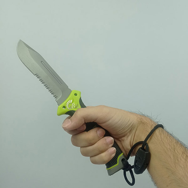 نقد و بررسی تخصصی کارد سفری