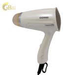 GEMEI GM-138 (DC MOTOR) HAIR DRYER -2