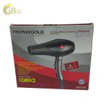 PROMAXGOLD REF.5728 HAIR DRYER (1)-min