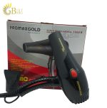 PROMAXGOLD REF.5728 HAIR DRYER (2).TIIF-min