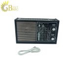 رادیو ار اس دی او مدل RSDO RD-110UBT-2.