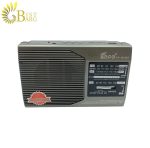 رادیو فیپه مدل Fepe FP-1972BT-2.