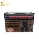 رادیو فیپه مدل Fepe FP-260BT-S-4.