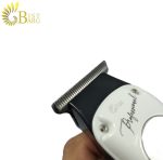 خط زن و ماشین اصلاح روزیا مدل ROZIA HQ276-3