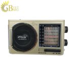 رادیو RSD مدل RD-098UBT-S-1