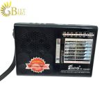 رادیو فپه مدل Fepe FP-1622BT-1
