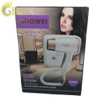 سشوار دیواری GUOWEI GW-6142A-5