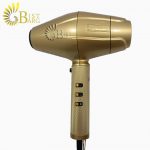 سشوار حرفه ای بابیلیس پرو BABYLISS PRO FXBDG1E