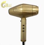 سشوار حرفه ای بابیلیس پرو BABYLISS PRO FXBDG1E